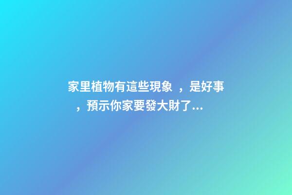 家里植物有這些現象，是好事，預示你家要發大財了！